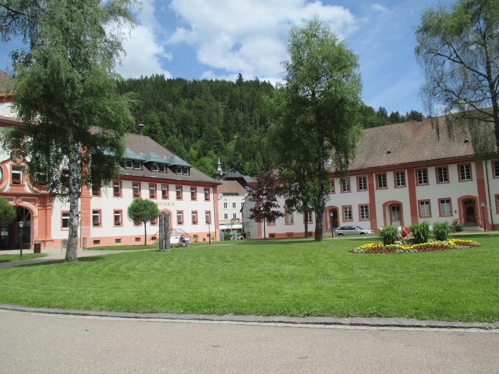 Pension Blaues Haus St. Blasien Kültér fotó